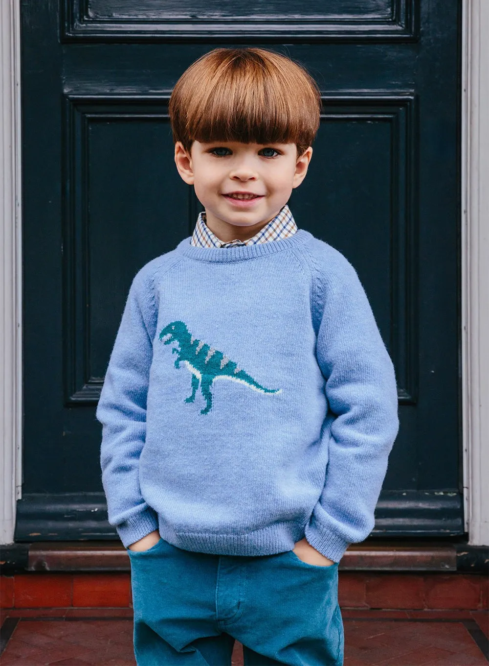 Dominic Dinosaur Jumper